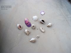 muszelki--hmm a kazda inna ciekawe jaka Twoja