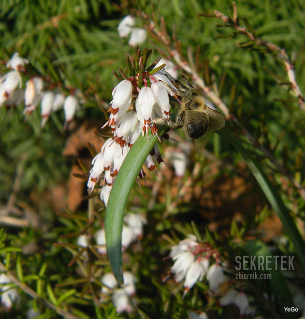 i jak się nie obrócisz to dupa zawsze z tyłu :PPP - sekretek
