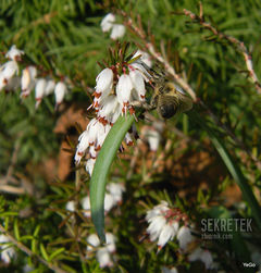 i jak się nie obrócisz to dupa zawsze z tyłu :PPP