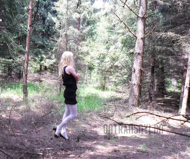 SAM_1667.JPG - OnTransNylon