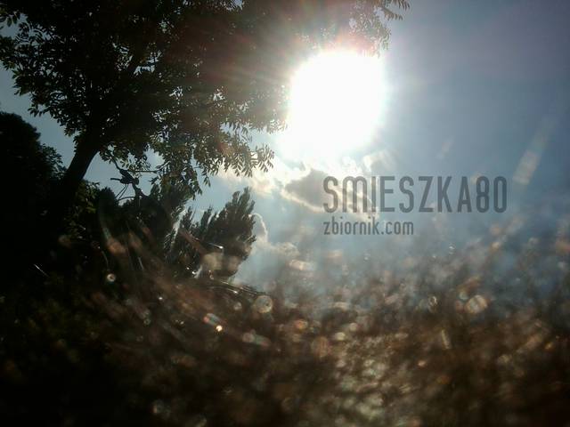 Pieszczoch  - Smieszka80