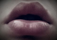 2014-07-28 20.28.14.jpg