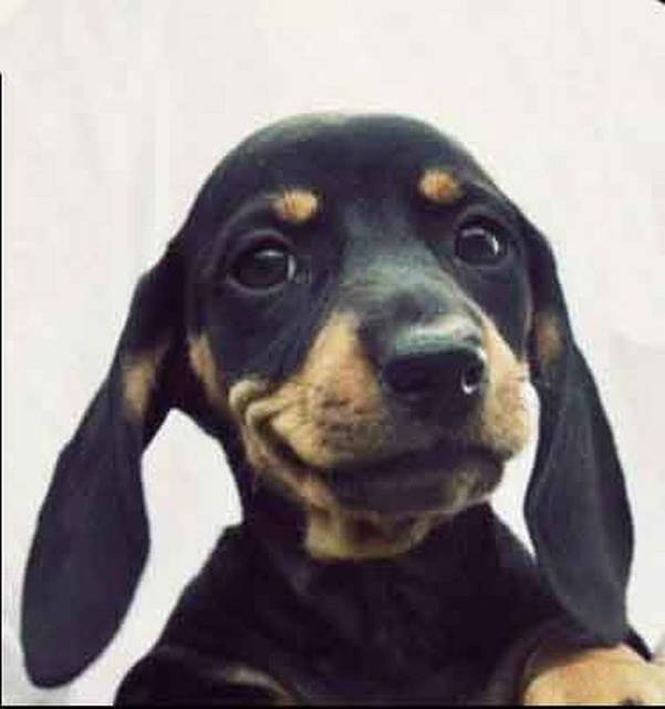 1aa.jpg - KabanosExtra