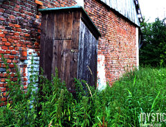 Pokrzywa kontra higiena :)))