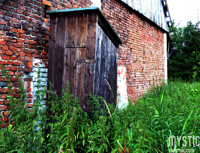 Pokrzywa kontra higiena :))) - mystic