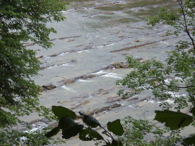 DSC00291.JPG - adventurer76