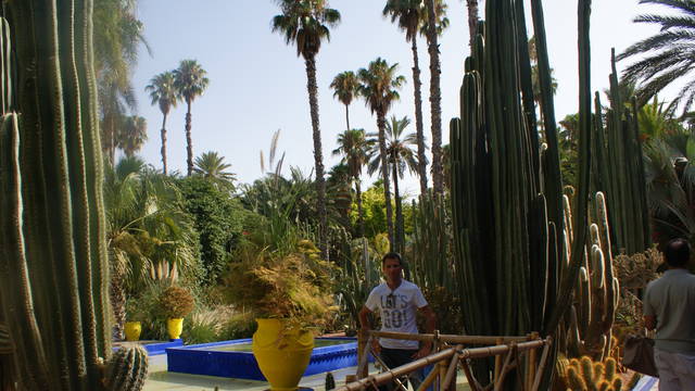 DSC03462.JPG - pwprofi