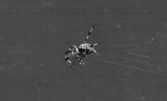 Pewna Pani Doktor M. !!!