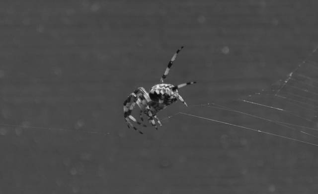 Pewna Pani Doktor M. !!! - markonii35