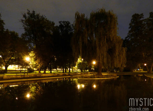 Wyspa, drzewo... - mystic