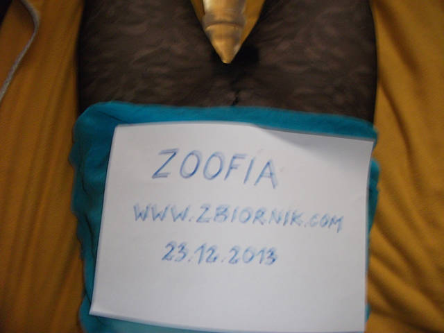 zb2.jpg - Zoofia