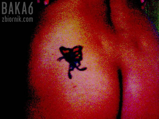 100_0986.1.JPG - baka6