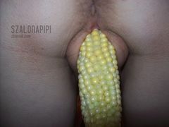100_3319.JPG perly