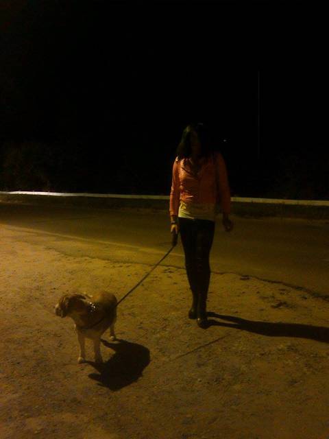 piesek.jpg - angelikamazury