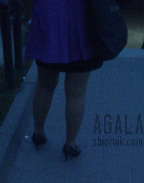 DSCwc0034kl.jpg - AGALA