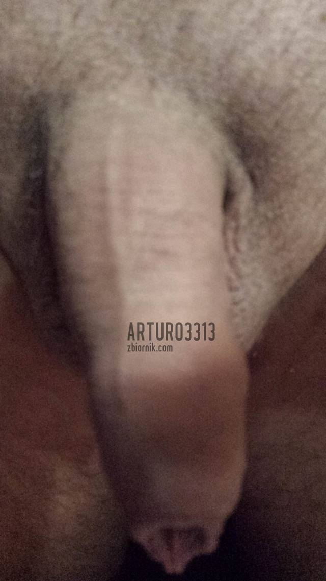 arturo3313