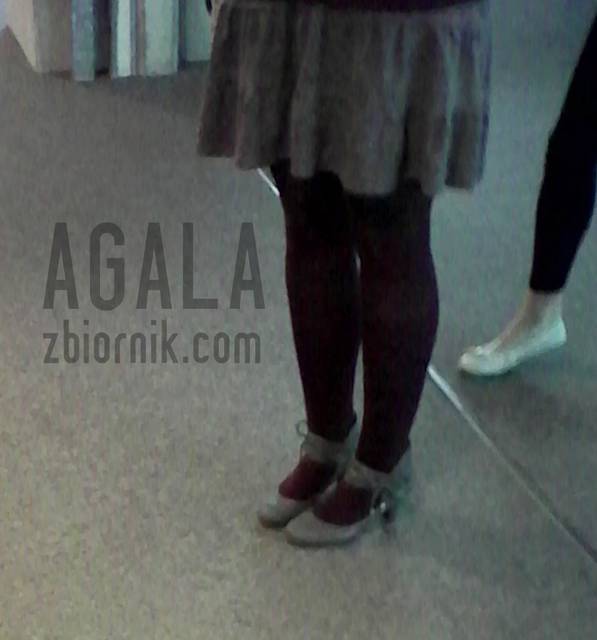 IMG_20140904_114729v.jpg - AGALA