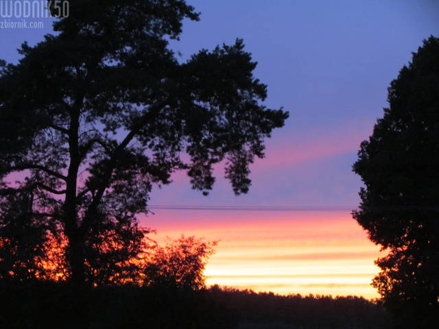 IMG_0388.JPG - wodnik50