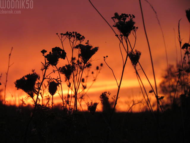 wieczorne...... - wodnik50
