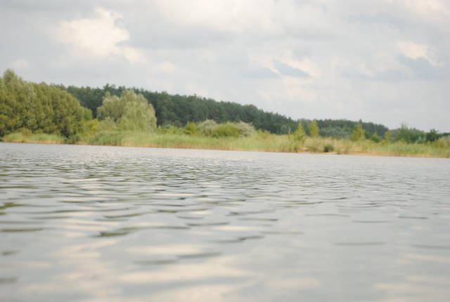 .... - orchidea_80_72