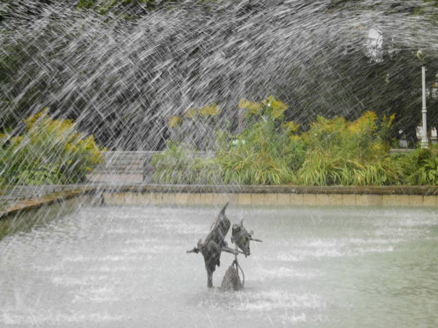 DSCI0136.JPG - lata70