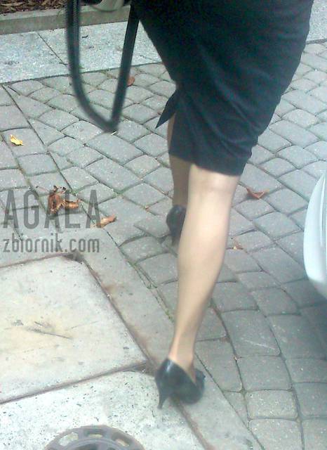 DSCp0022v.jpg - AGALA