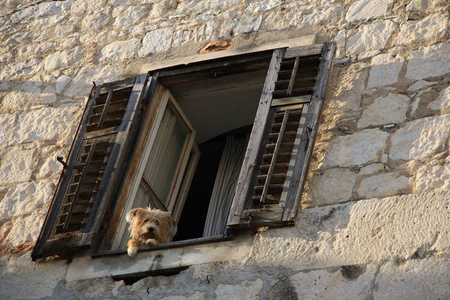 IMG_9457.JPG - za_granica41