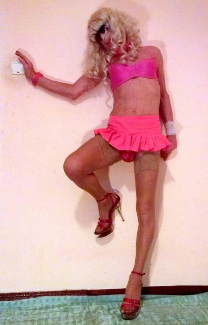 CAM01494.JPG - Trans_JOLKA