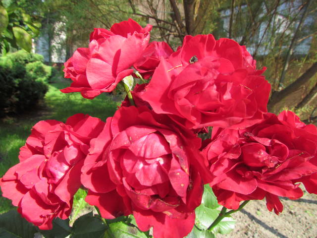 dla ...Pań - wodnik50