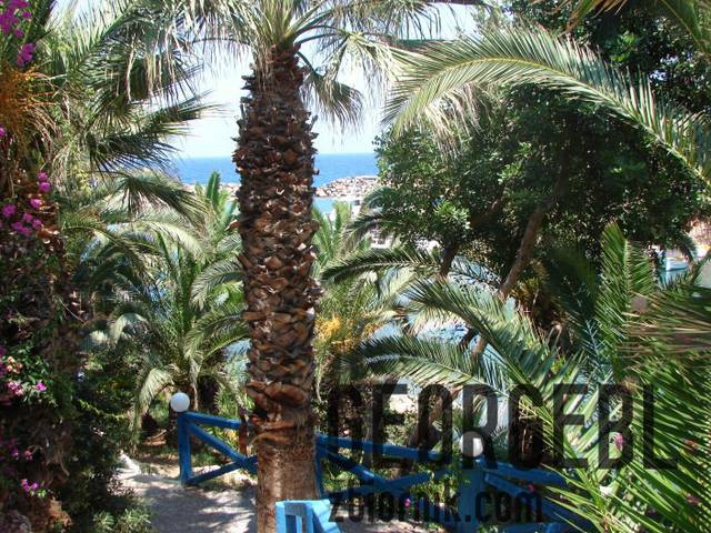 DSC00494.jpg - georgebl