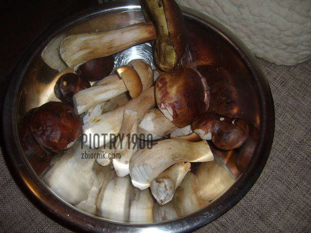 Grzybki.jpg - piotry1900