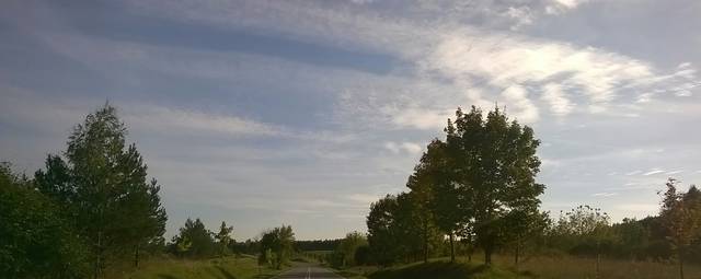 WP_20140924_006~2.jpg - bull1818