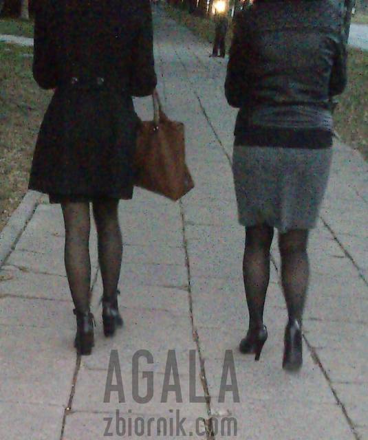 DSCst07cz.jpg - AGALA