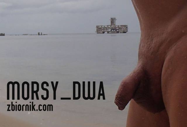 Torpedownia - Morsy_dwa