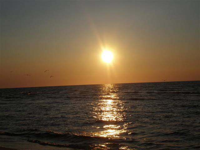 P1014823 (Medium).JPG - EroCipulek