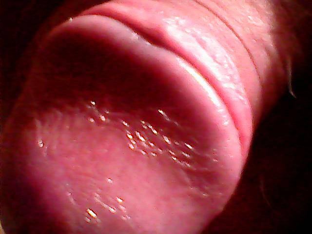 Obraz 194.jpg - czupurek