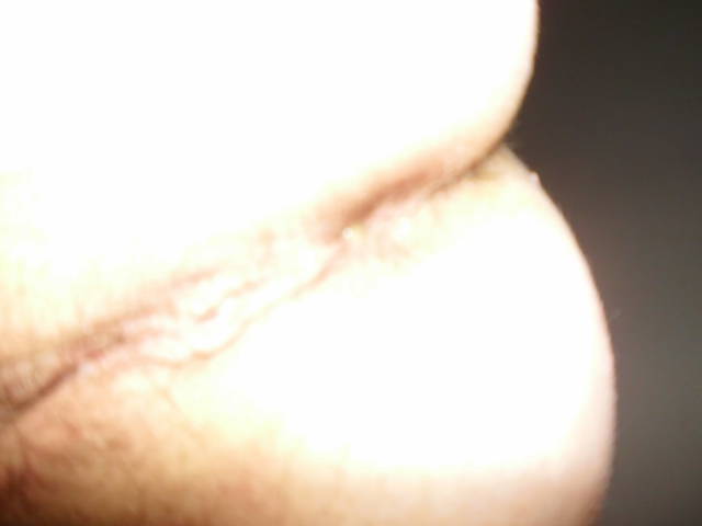 DSCI0255.JPG - lata70