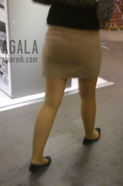 DSCnj0011kl.jpg - AGALA