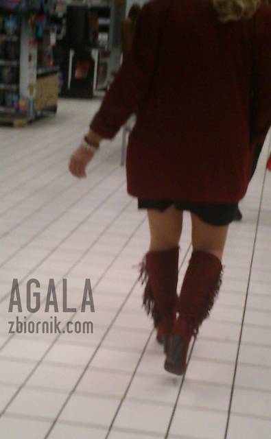 DSCns0038kl.jpg - AGALA