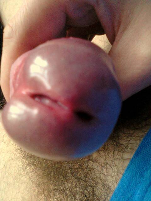 z bliska - Luzak_krak