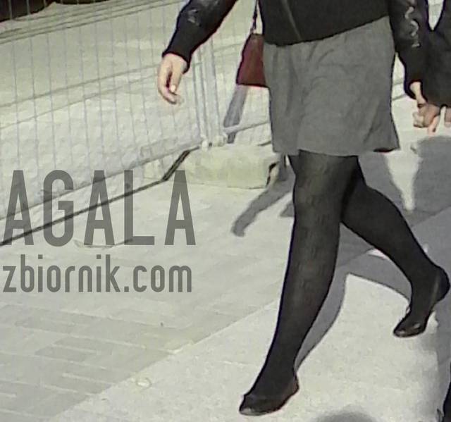 IMG_20141005_1458odj.jpg - AGALA