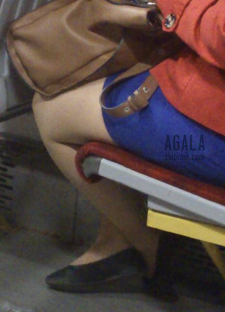 DSCp0036kl.jpg - AGALA