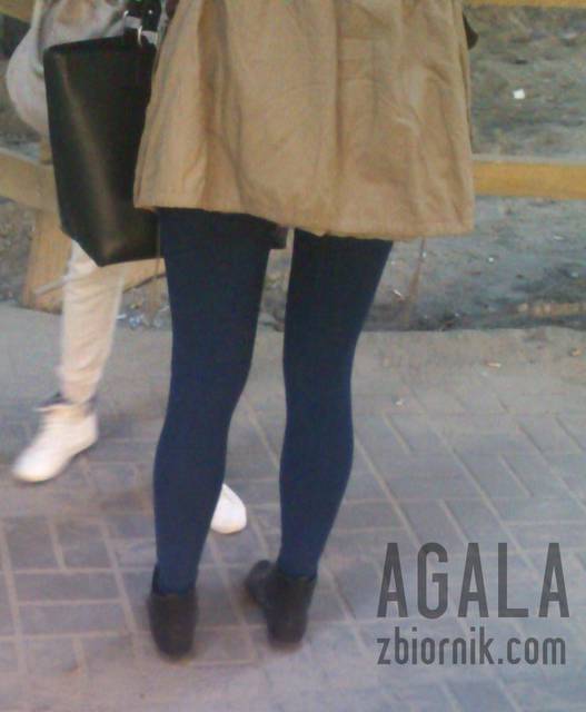 DSCp0014L.jpg - AGALA