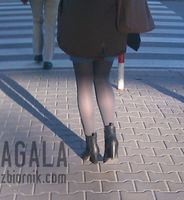 DSCth0080v.jpg - AGALA