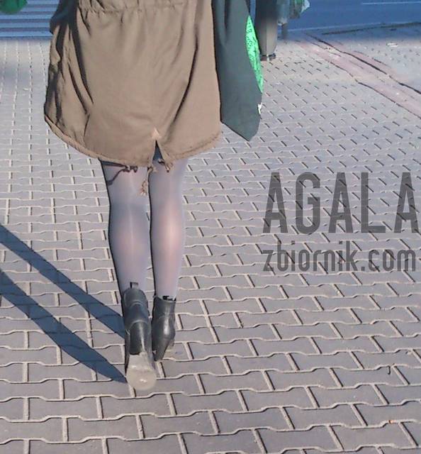 DSCth0079v.jpg - AGALA