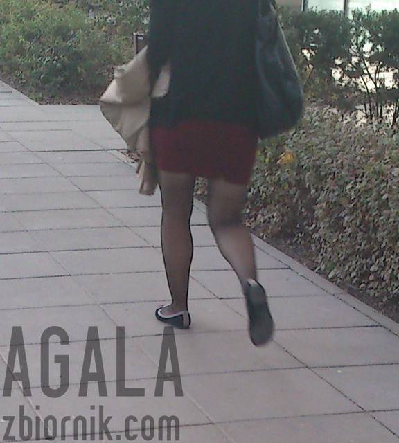 DSC_th0054cz.jpg - AGALA