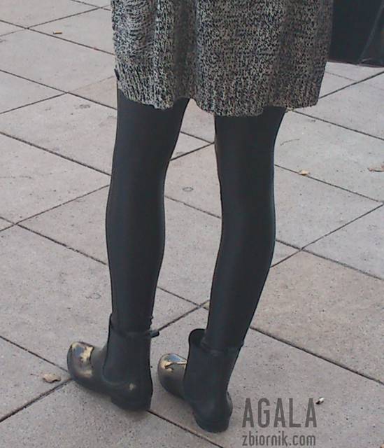 DSC_th0044L.jpg - AGALA