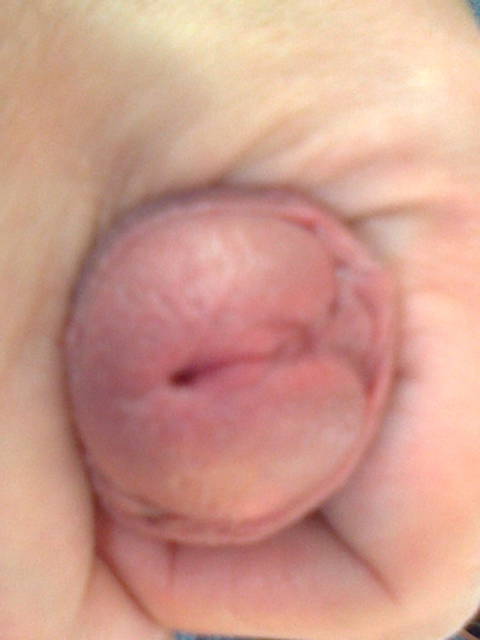 Zdjęcie0018.jpg - glionaon1