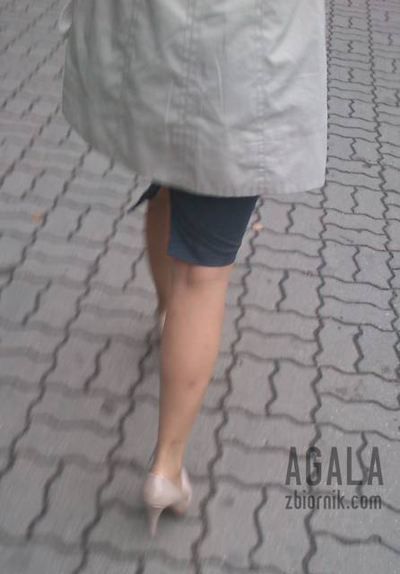 DSCct0029kl.jpg - AGALA