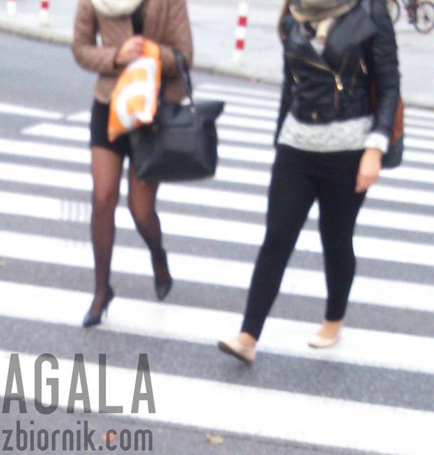 DSCstb016cz.jpg - AGALA